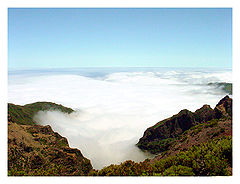photo "clouds*2"
