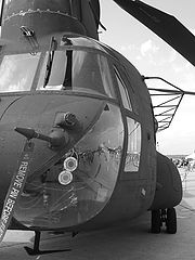 photo "Chinook"