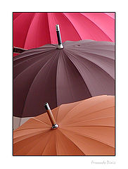 фото "Day of rain"