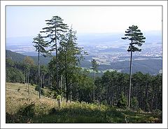 photo "In The Mountains"