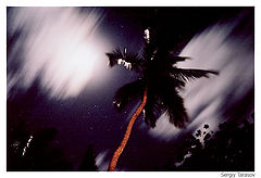photo "Kenyan night.  Wind on black"