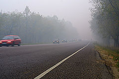 photo "Untitled photo"