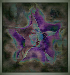 photo "Sylvie Dreams"