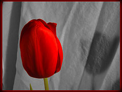 фото "**"