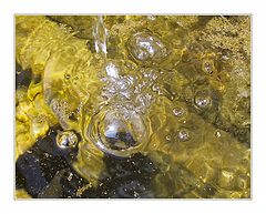 фото "Bubbles"