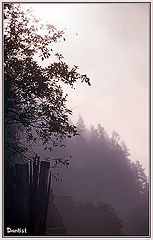 photo "Lilac mist"