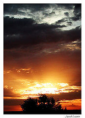 photo "strong and fascinating"