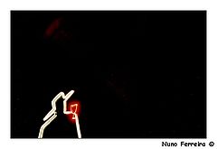 фото "untitled"