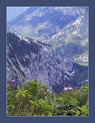 фото "Valley"