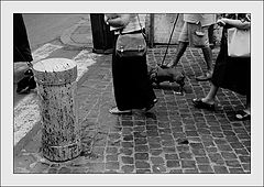 photo "A dachshund could hardly be seen as a whole"