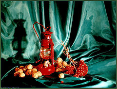 photo "Green-Red Still-Life"