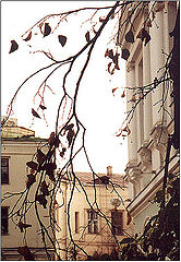 фото "осень"