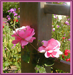 фото "Climbing Towards the Sun"