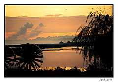 photo "a new day"