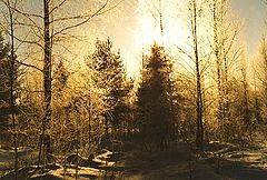 фото "Озарение"