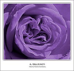 photo "A delicacy"
