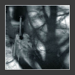 photo "Shadows"