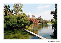 фото "Forbidden garden"