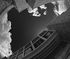 фото "Vertigo"