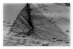 photo "Down."