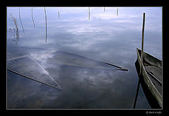 photo "Survivor"