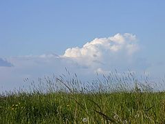 photo "Sky II"