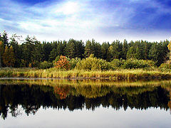 photo "Inevitable autumn"