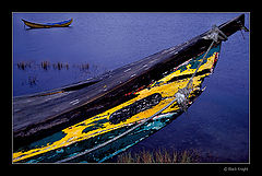 photo "Old Body...New Soul"