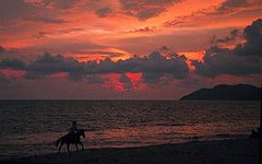 фото ""Sunset Rider""