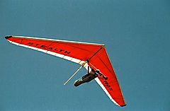 photo "Fly like a bird"