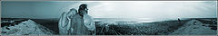 photo "ESTUARY"