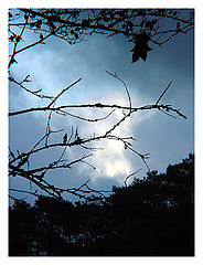 photo "Untitled photo"