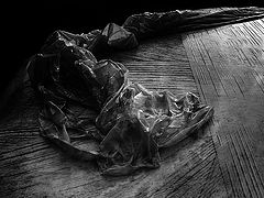 photo "bfl"