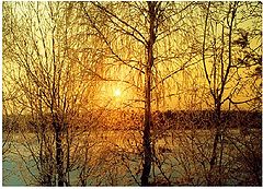 фото "Озарение-3"
