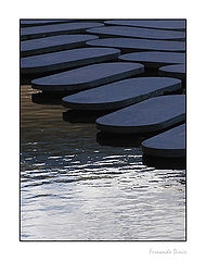 фото "Aquatic domino"