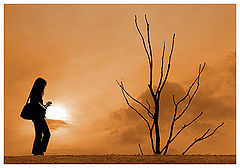 photo "Walking"