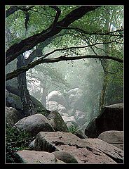 photo "Untitled photo"