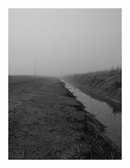 photo "ditch"