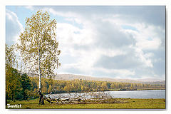 photo "Beside lake"