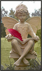 фото "Angel"