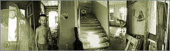 photo "WANDERRING-endless house/ son of musician"