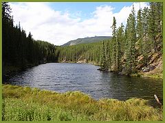 фото "alberta"