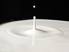 фото "Milk Drop"