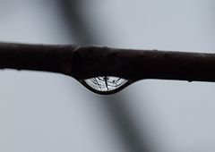 photo "Untitled photo"