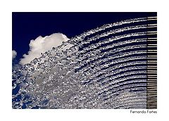 photo "Life Elements (I)"