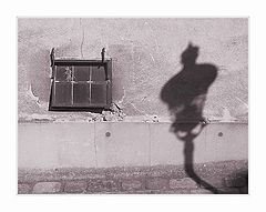 фото "*****"