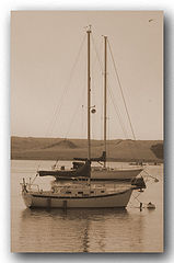 photo "Yachts # 1"