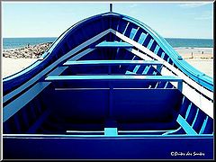 photo "The Blue Boat"