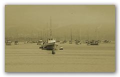 photo "Yachts # 2"