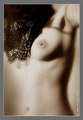 photo "Soft movements. Morning."